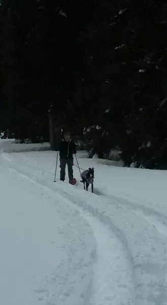 15178962 10209475432660549 3909278204000896776 n