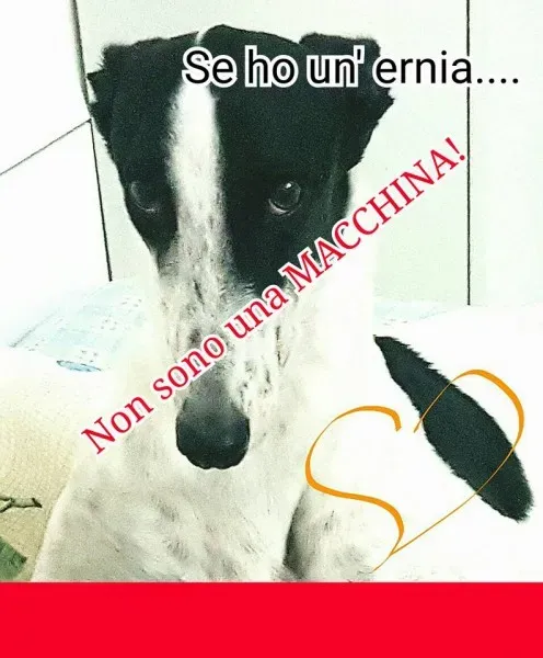 15178964 346474669058038 7469258321796930064 n