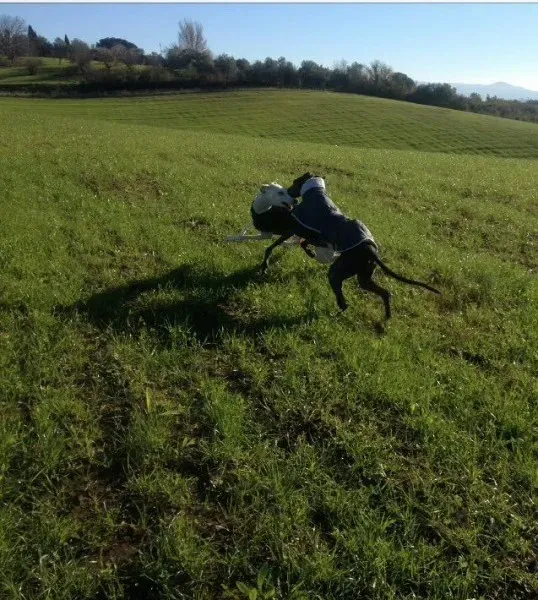 15181281 10210865213336120 8932270314901859506 n