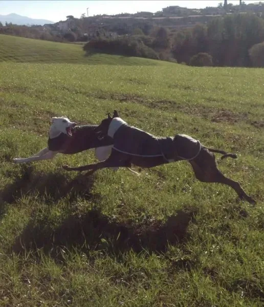 15181413 10210865210896059 3441077972855630506 n