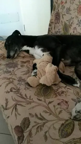 15181430 10209475432460544 4130380944139890131 n