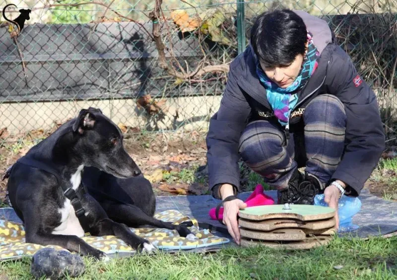 15181548 694532887384426 5984921204961609593 n