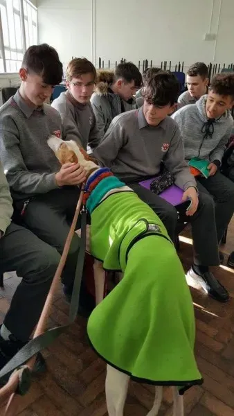 15181672 1180480282035825 3174266359866102949 n