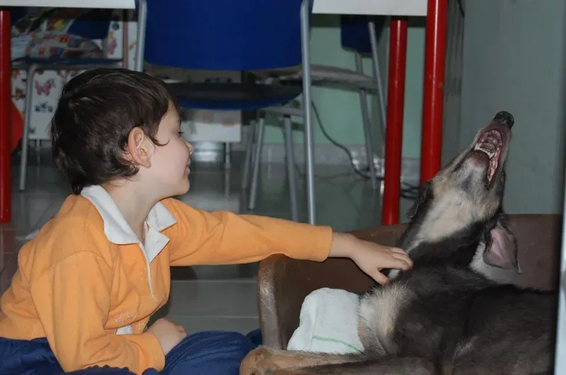 1518419 10205065122938039 7803397040776649498 o