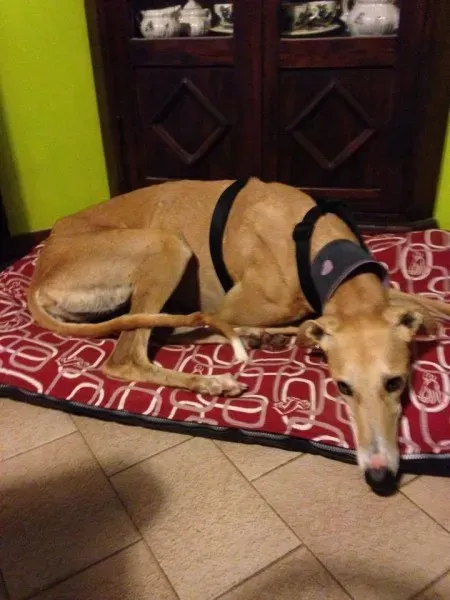 15192597 344220959283409 2448605083040503949 n