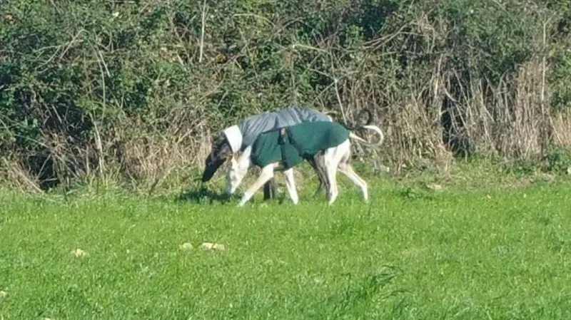 15192682 10210865211456073 4702782572120576805 n