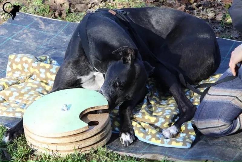 15193607 694532937384421 6463670593071767787 n