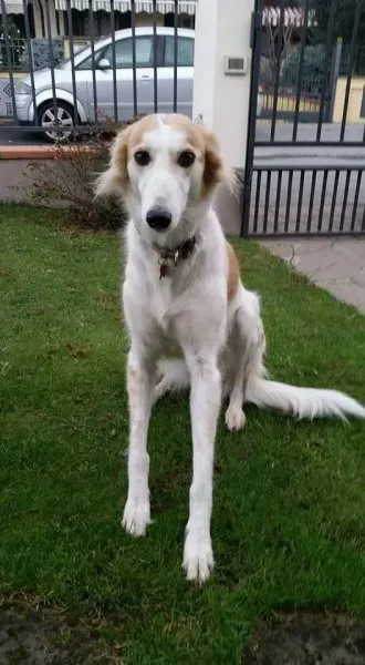 15193700 349050915467080 506389822969673331 n