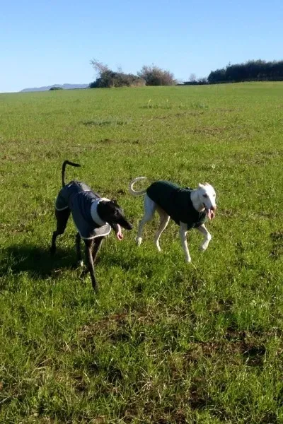 15202540 10210865210656053 7328903047472620155 n