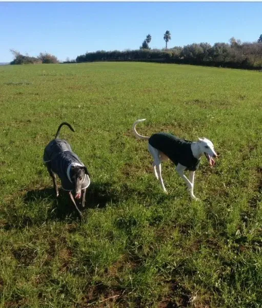 15203123 10210865212536100 4099616480436135983 n