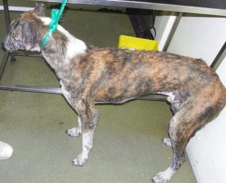 1520635 872283386122695 5678261455366775315 n