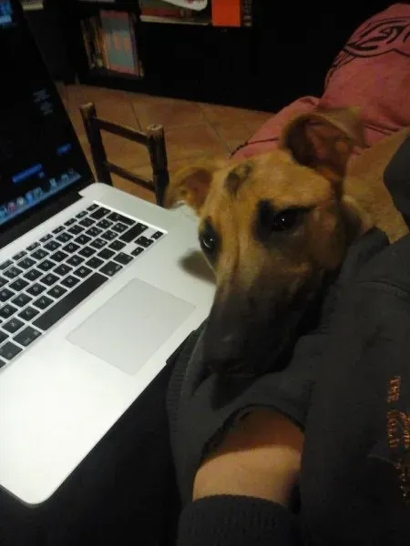 1520651 582585911876637 7158633959744182953 n