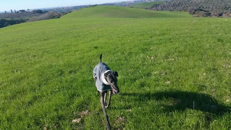 15219456 10210865215976186 2890804472941029424 n