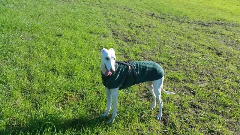 15219978 10210865218216242 3331655336769773058 n