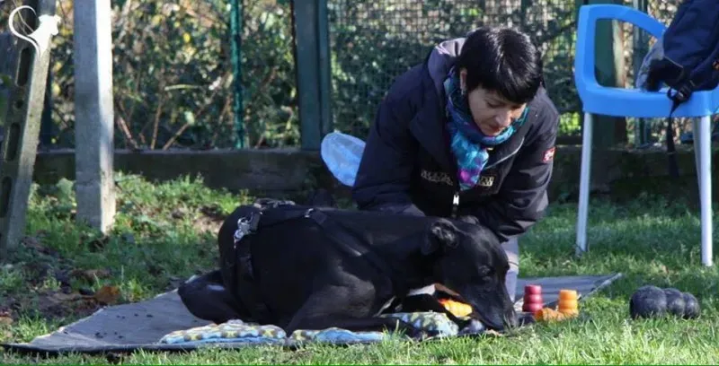 15232329 694533030717745 8047045158458520028 n