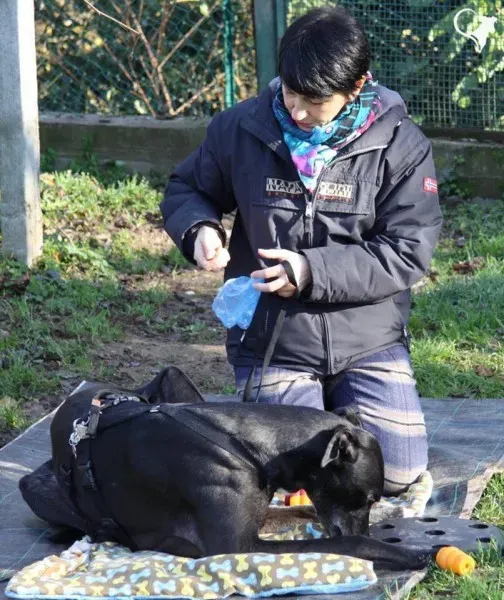 15241993 694532980717750 3202053958938904471 n