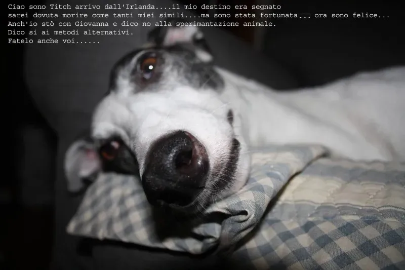 1524498 10203080805647301 1964872357 o