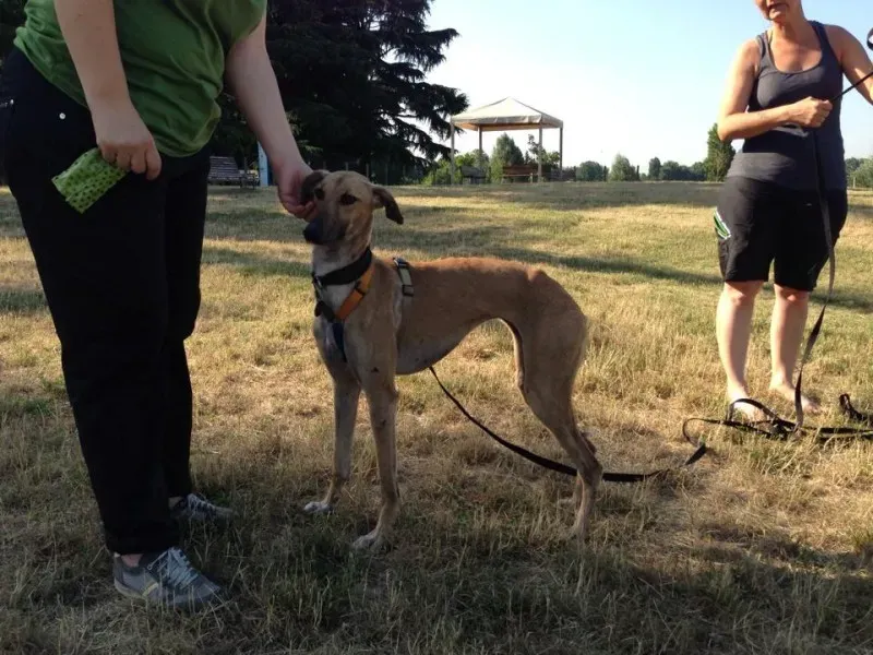 1524889 10203300310461395 820364208459816153 n