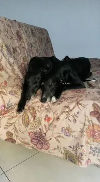 15253425 10209475433820578 6675455291921985093 n