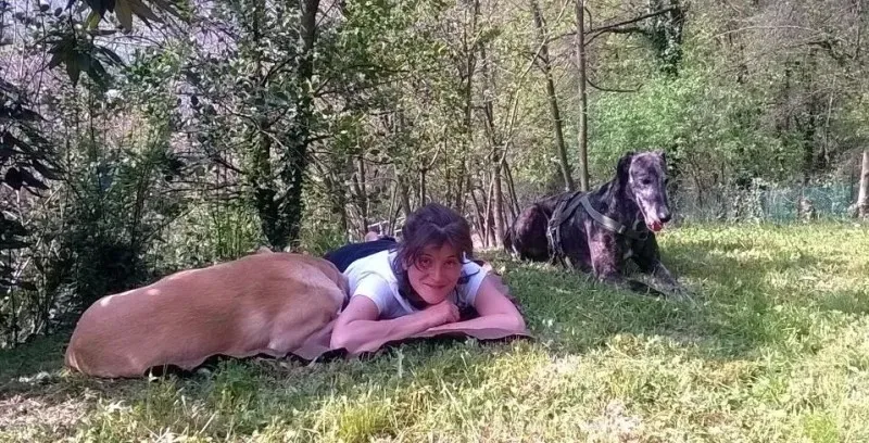 1525563 657855550942287 315325461877878591 n