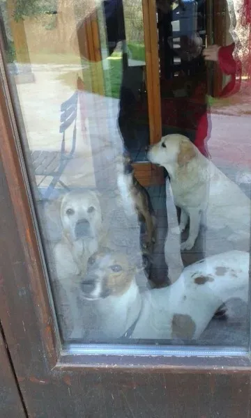 1525617 10202841488549611 337788256 n