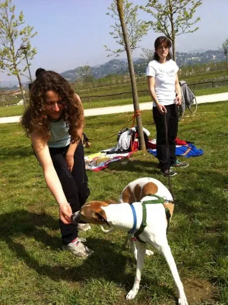 1525665 729196453799747 5874071510340677685 n