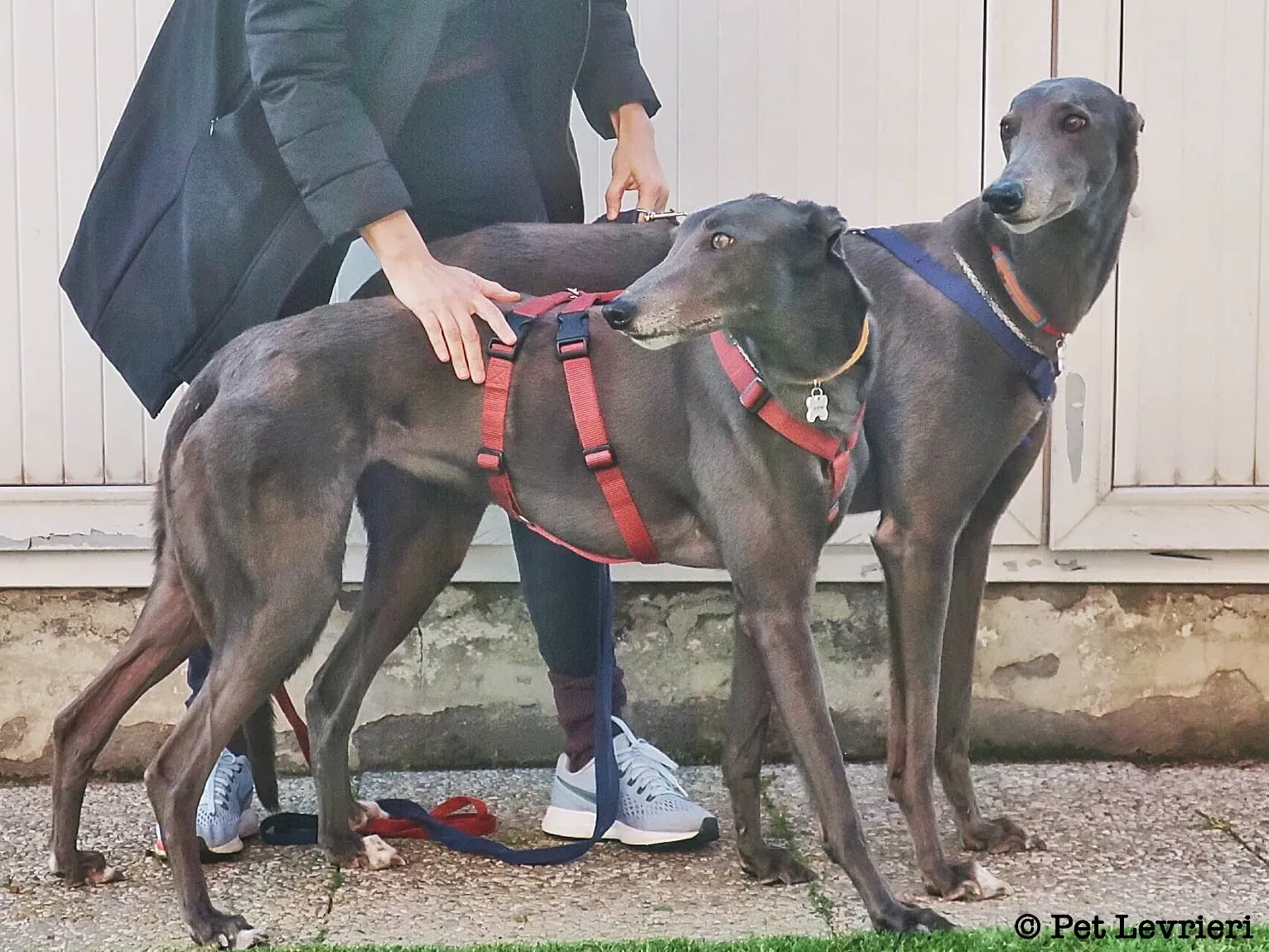 15259371 B5BE 4BFD AC40 6B9A1F992671