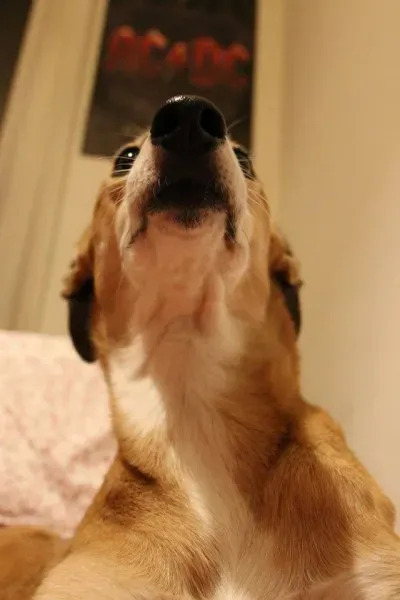 1526189 942404652510057 5688151278076238098 n