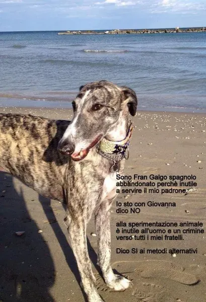 1526294 570076349742891 706912355 n