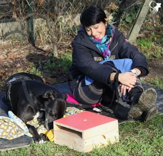 15267835 694533014051080 5213523051057218366 n