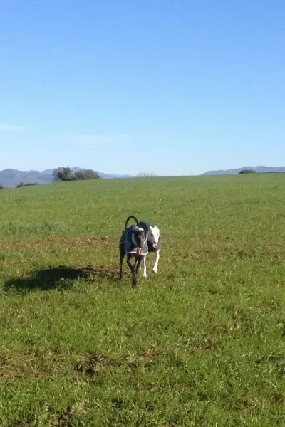 15268089 10210865214016137 2182720832238431341 n