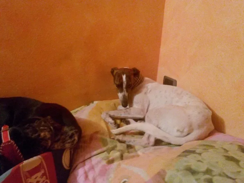 1526935 225350737659716 1087237329 n