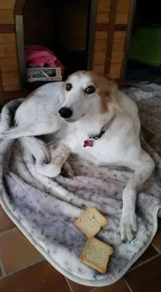 15283959 349051038800401 3566789304597413997 n