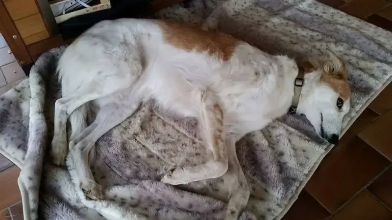 15284928 349050545467117 3399558838793598681 n