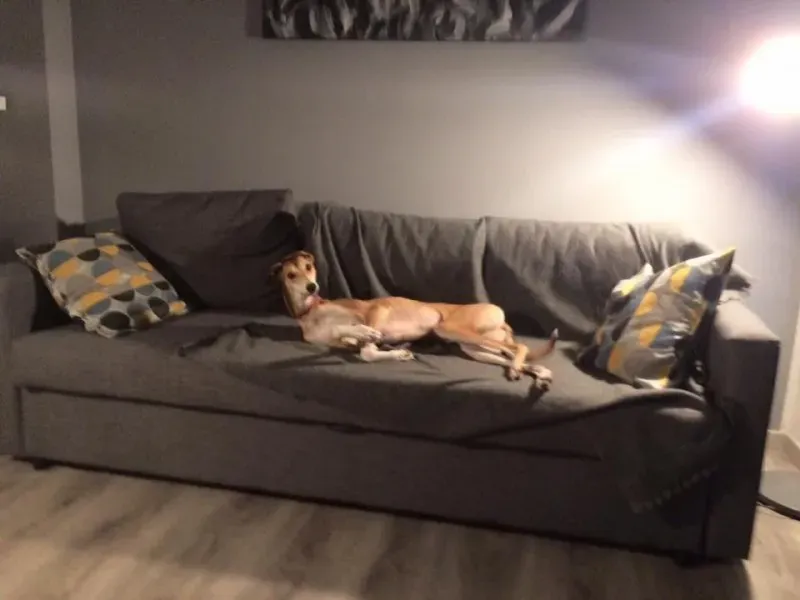 15285061 10155437829102506 7593128904557109537 n