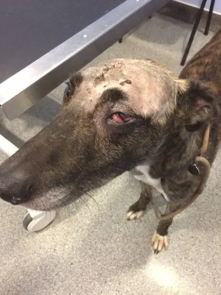 15289307 1442348269116201 2173946746943073059 o