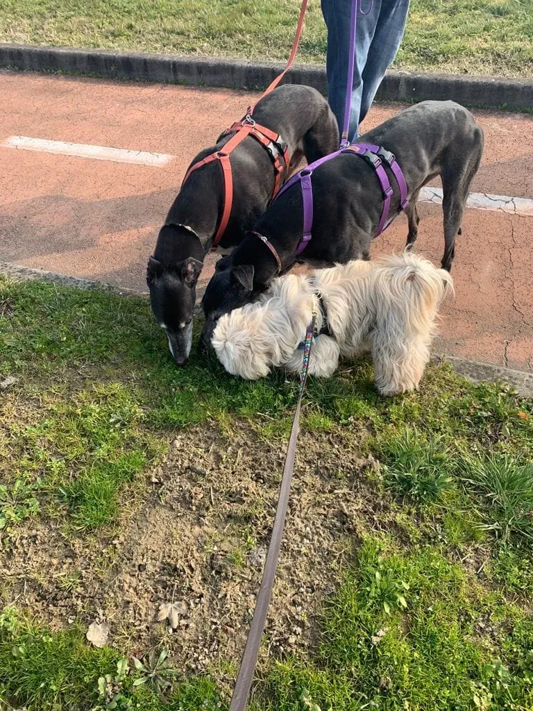 152947666 10222241755290636 6561134554488649916 n