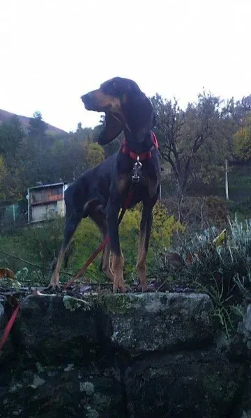 1530375 10202596250609915 245175160 n