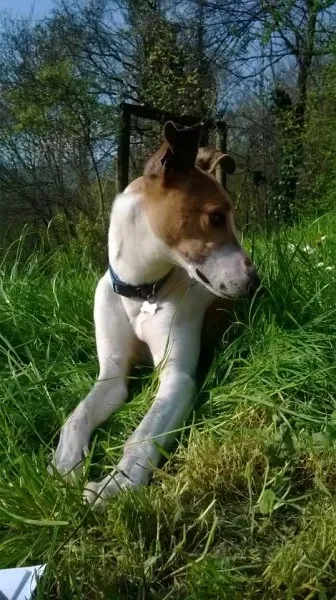 1530469 654359874625188 897755844 n