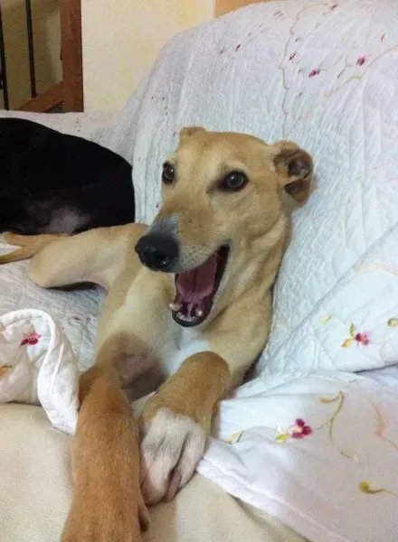 1530486 10203009859669427 8225232491839601248 n