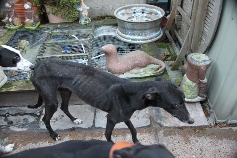 15325148 10155586230039129 7927704952800899479 o 1