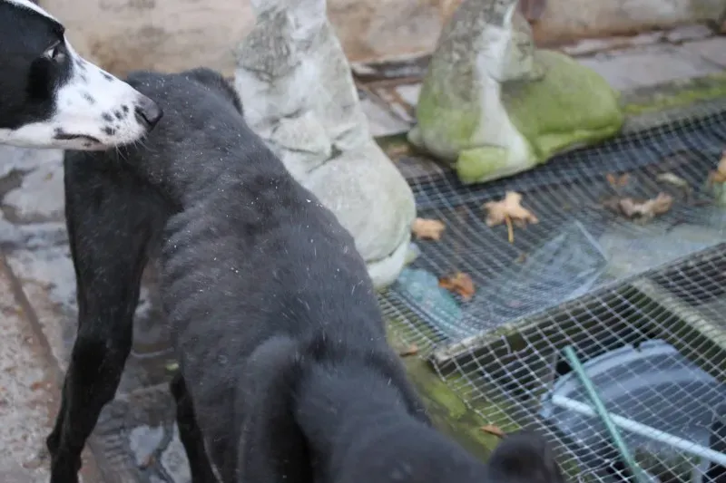 15326229 10155586227219129 5040548517064246771 o