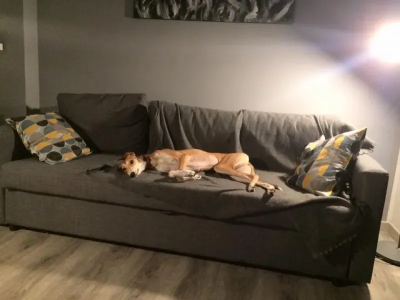 15326565 10155437828872506 66818180457197461 n