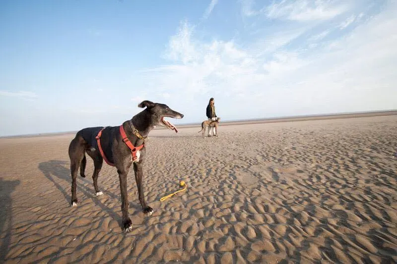 1533713 847701815313675 2412430920440739034 n