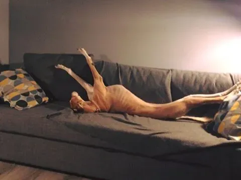 15337494 10155437828597506 4898734516234275078 n