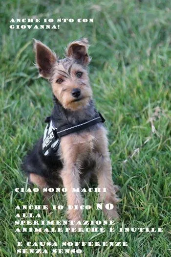 1533945 570318049718721 499788074 n