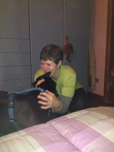 1535008 1604937619734219 6710763602264373446 n