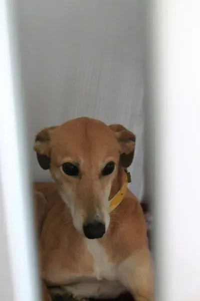 1535583 1014949151856117 7655715771082991577 n