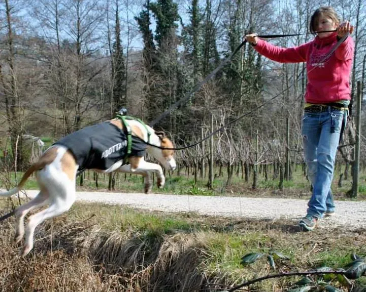 1536554 10202823960551422 53824410 n