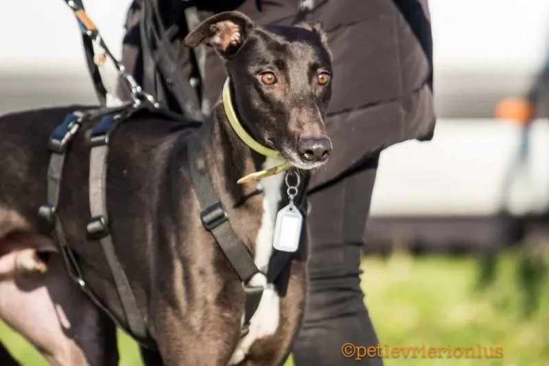 15369008 1204972569586596 7882061941012533802 o